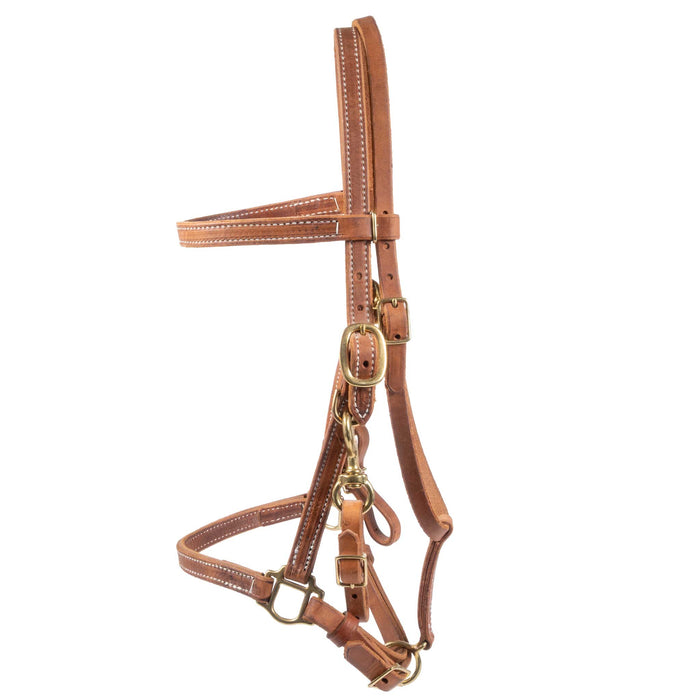 Teskey's Herman Oak Leather Halter/Bridle Combo