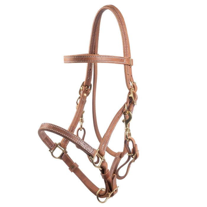 Teskey's Herman Oak Leather Halter/Bridle Combo