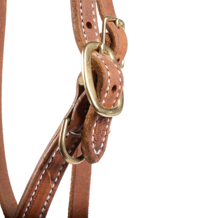 Teskey's Herman Oak Leather Halter/Bridle Combo