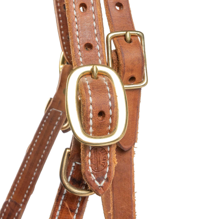 Teskey's Herman Oak Leather Halter/Bridle Combo
