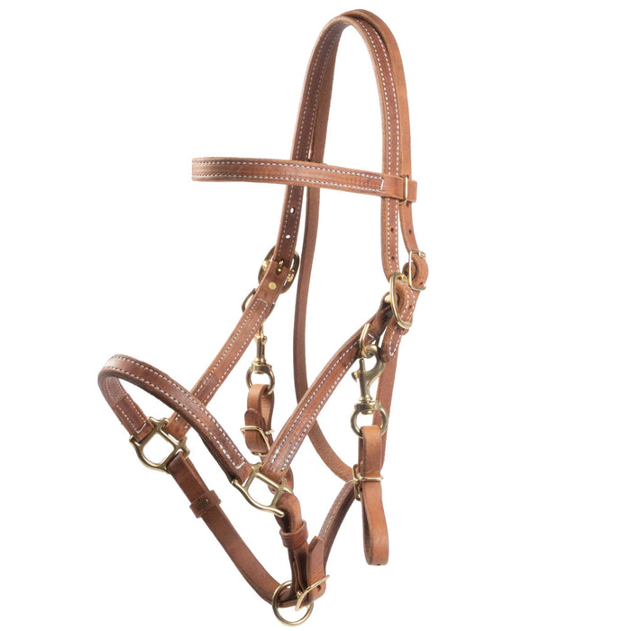 Teskey's Herman Oak Leather Halter/Bridle Combo
