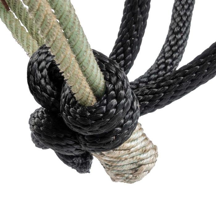 Teskey's Rawhide Nose Breaking Hackamore