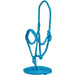 Mustang Flat Nose Braided Halter w/Lead Tack - Halters & Leads Mustang Turquoise