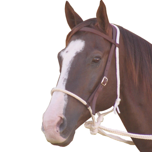 Mustang Breaking Hackamore Tack - Training Mustang