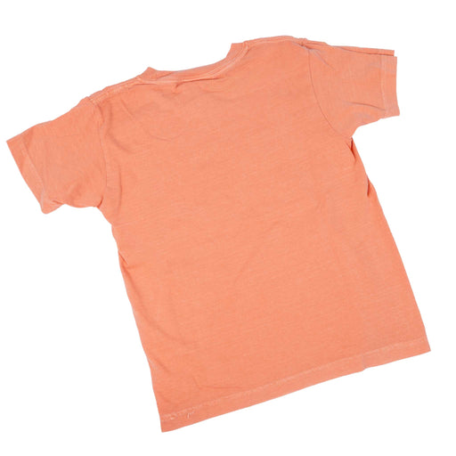 Teskey's Youth Plain Logo Tee - Terracotta TESKEY'S GEAR - Youth S - S Shirts Teskey's