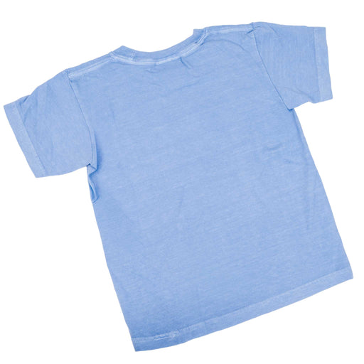 Teskey's Youth Plain Logo Tee - Washed Denim TESKEY'S GEAR - Youth S - S Shirts Teskey's