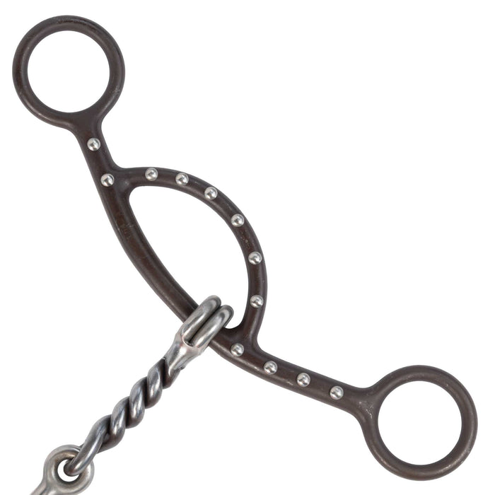 Aime Sliding Gag Twisted Dog Bone Bit