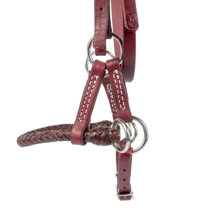Teskey's Harness Leather Sidepull Tack - Training Teskey's