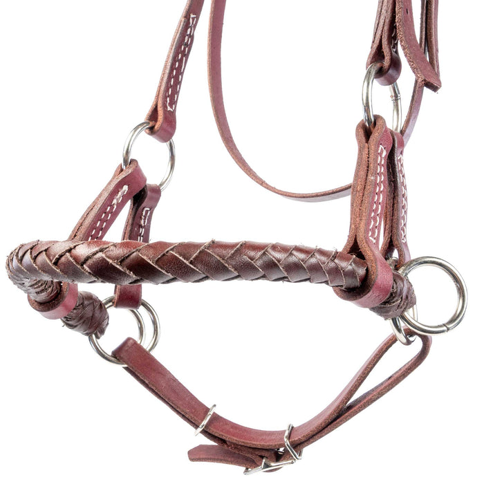 Teskey's Harness Leather Sidepull Tack - Training Teskey's