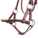 Teskey's Harness Leather Sidepull Tack - Training Teskey's