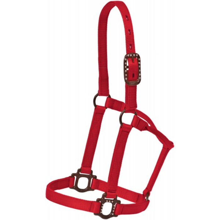 Antique Dot Halter Tack - Halters & Leads Mustang Red