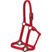 Antique Dot Halter Tack - Halters & Leads Mustang Red