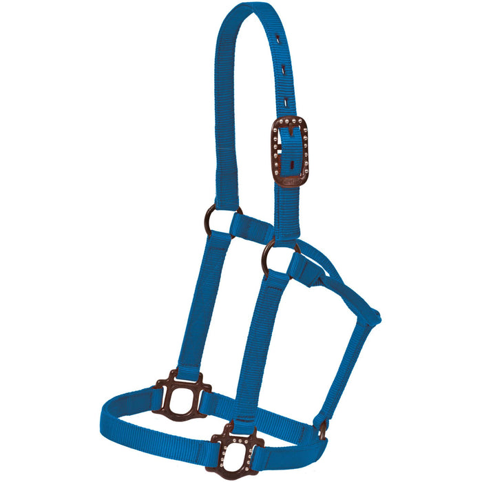 Antique Dot Halter Tack - Halters & Leads Mustang Blue