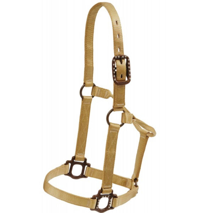 Antique Dot Halter Tack - Halters & Leads Mustang Tan