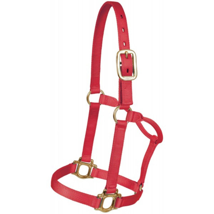 Mustang Triple-Ply Nylon Halter Tack - Halters & Leads Mustang