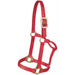 Mustang Triple-Ply Nylon Halter Tack - Halters & Leads Mustang