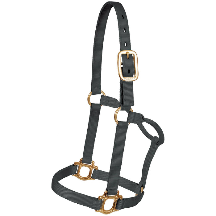 Mustang Triple-Ply Nylon Halter Tack - Halters & Leads Mustang