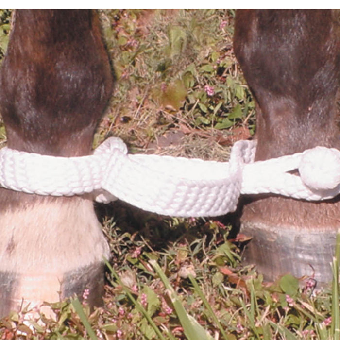 Teskey's Braided Hobbles Tack - Training Mustang