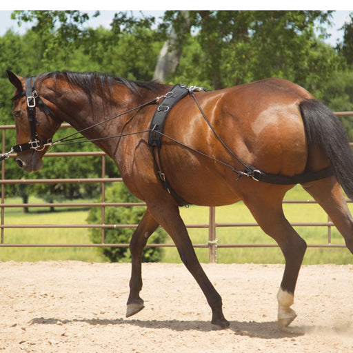 Mustang Balance Training System Tack - Training Mustang