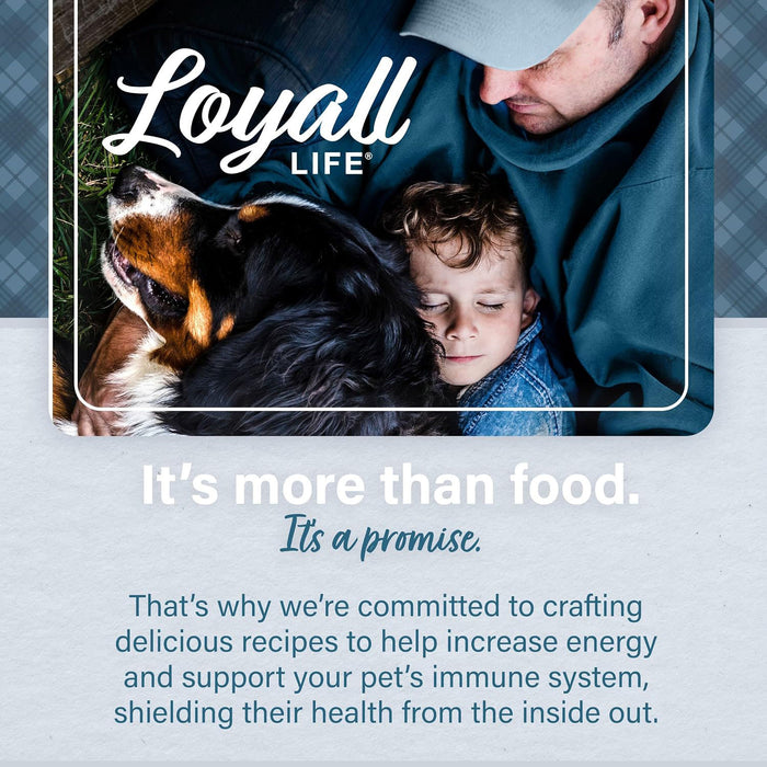 Nutrena Loyall Life All Life Stages Chicken & Rice Dog Food - 20lb Bag Feed & Hay - Feed Nutrena