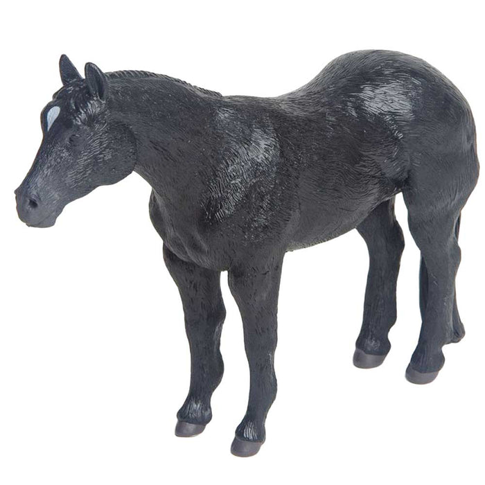 Little Buster Black Quarter Horse