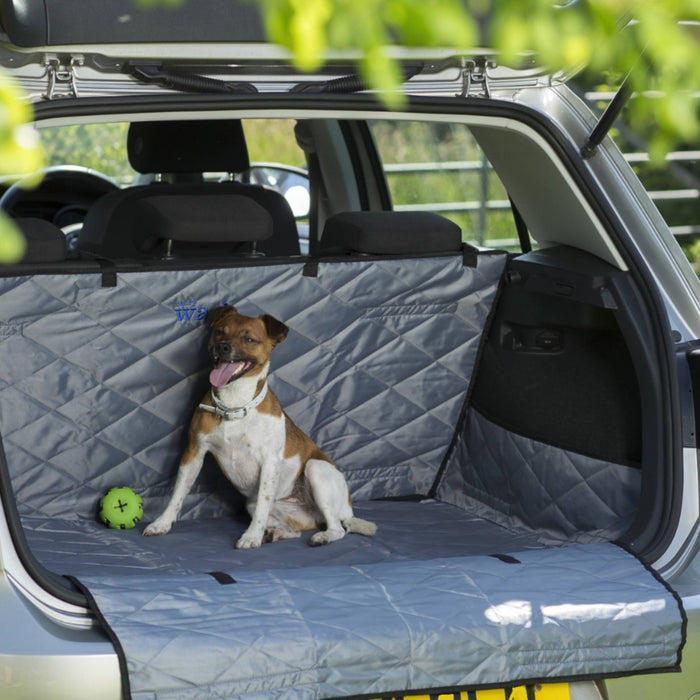 Boot and Bumper Protector