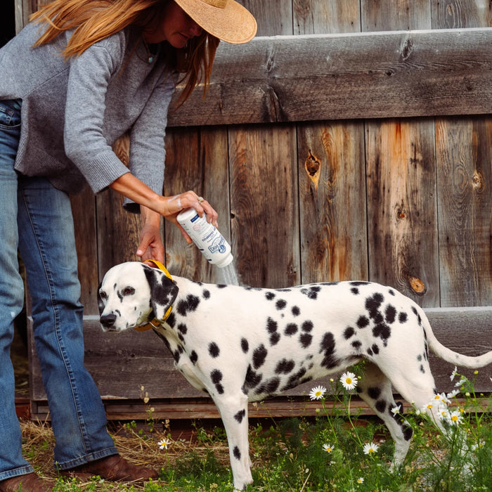 Barn Dog Dry Shampoo