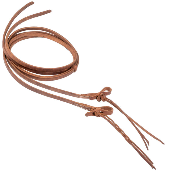 Reins