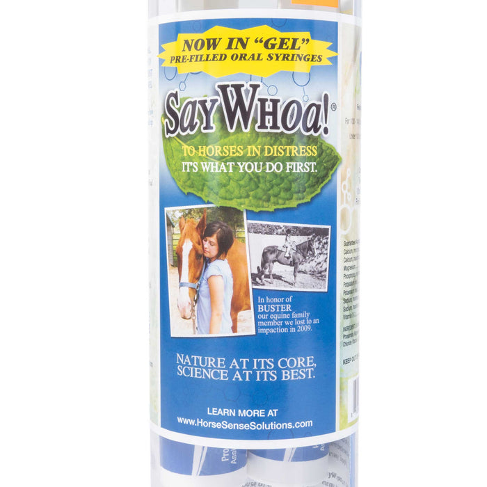 Horse Sense Solutions SayWhoa