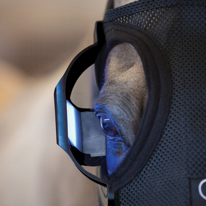 Equilume Belfield Light Mask