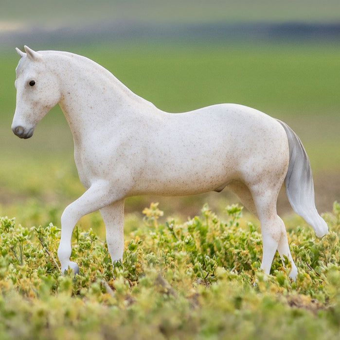 Breyer Caprechio del Richuelo