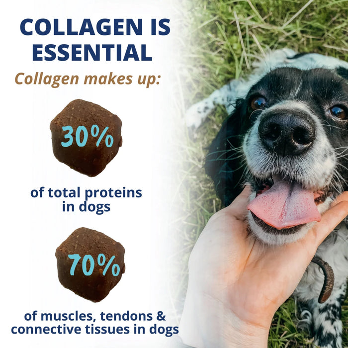 Under the Weather Collagen Soft Chews