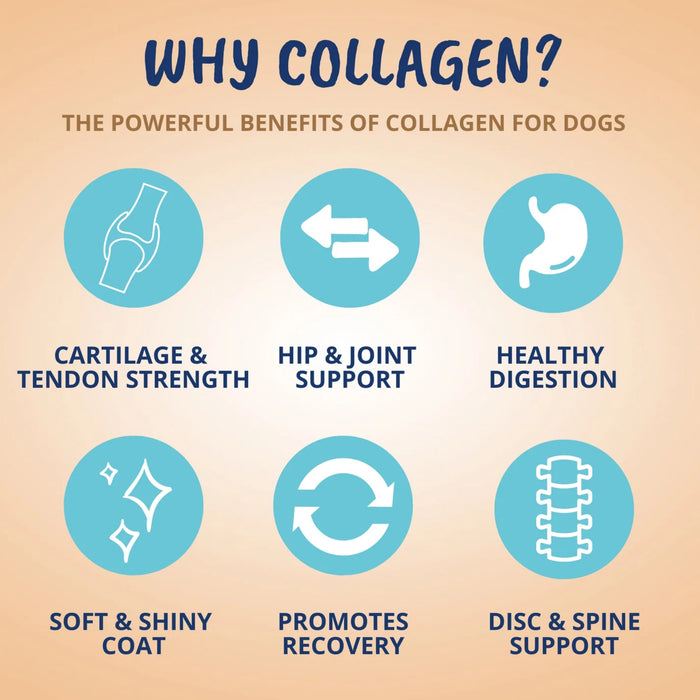 Under the Weather Collagen Soft Chews