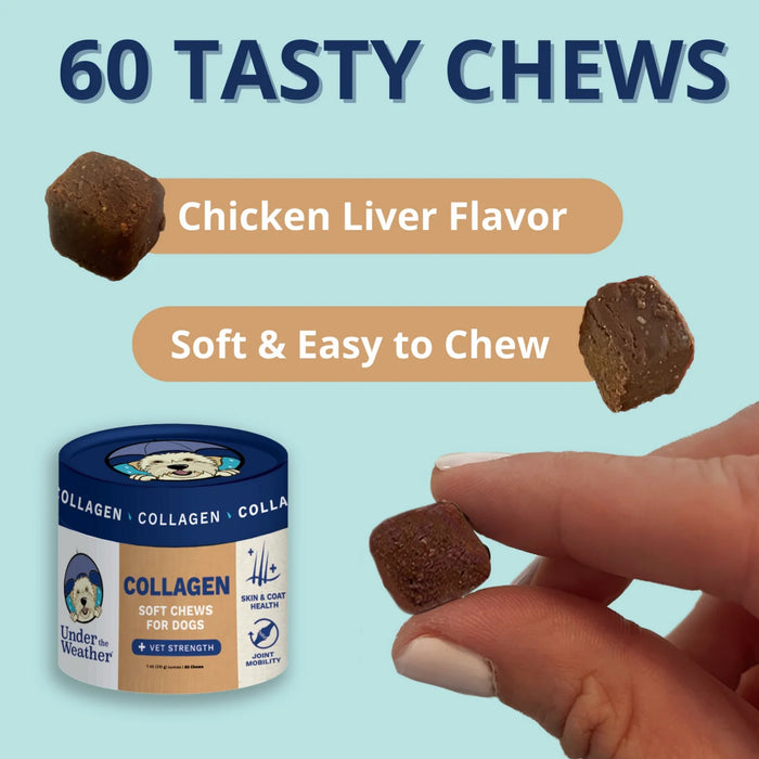 Under the Weather Collagen Soft Chews