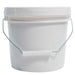 AniMed L-Lysine Powder Equine - Supplements Animed