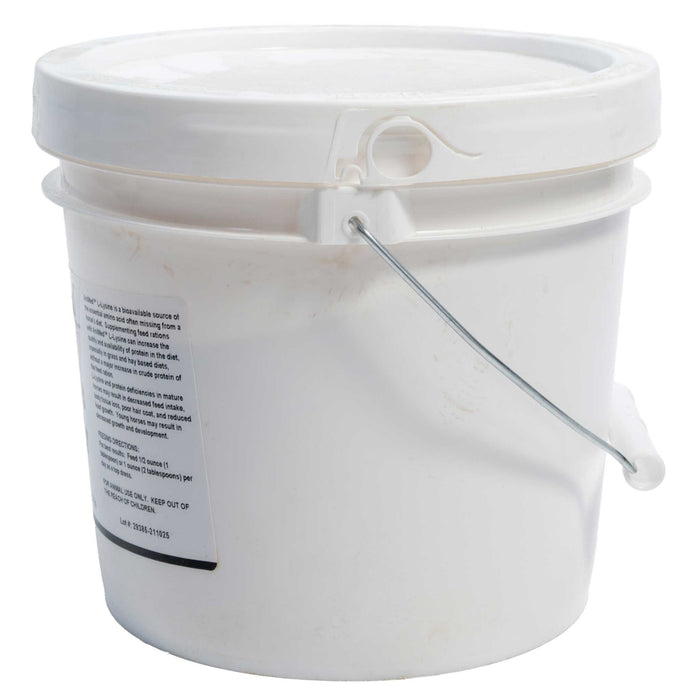 AniMed L-Lysine Powder Equine - Supplements Animed