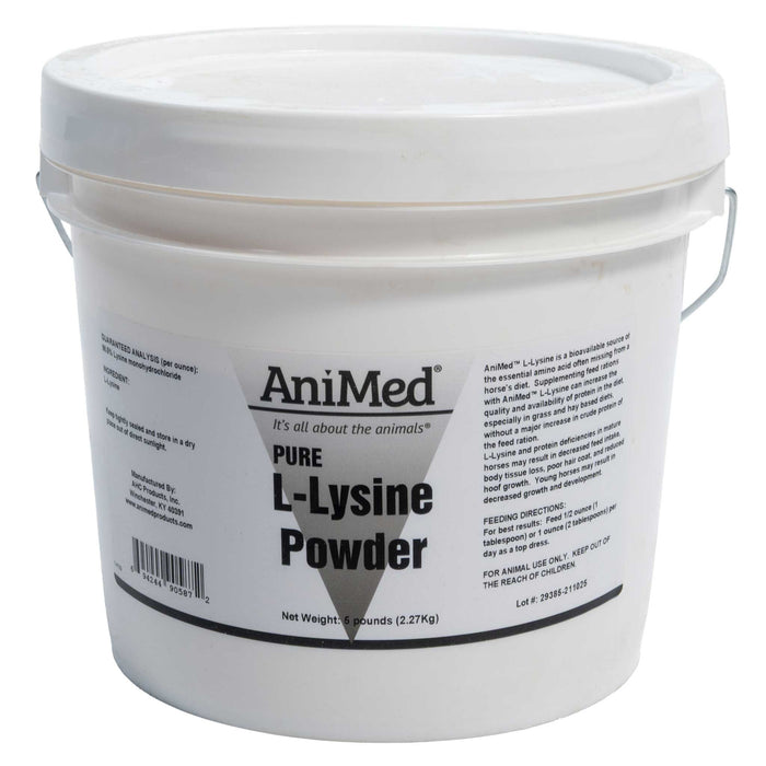 AniMed L-Lysine Powder Equine - Supplements Animed
