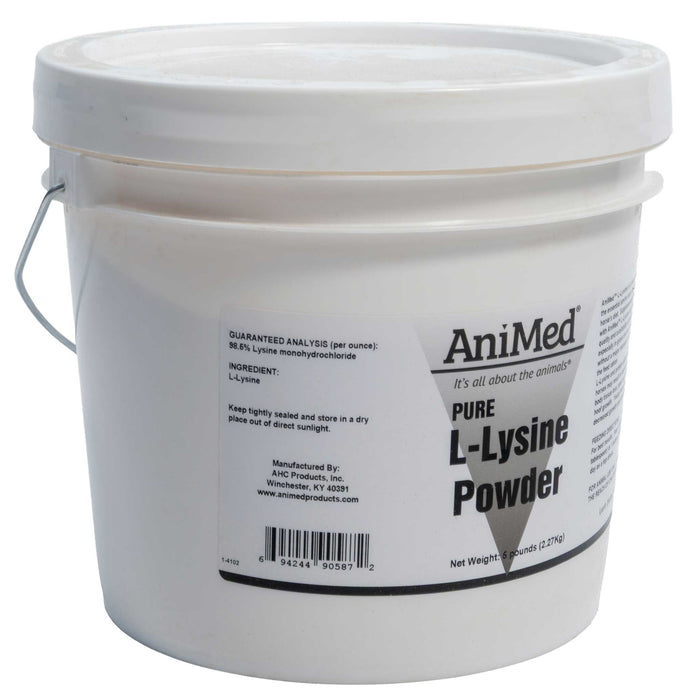 AniMed L-Lysine Powder Equine - Supplements Animed