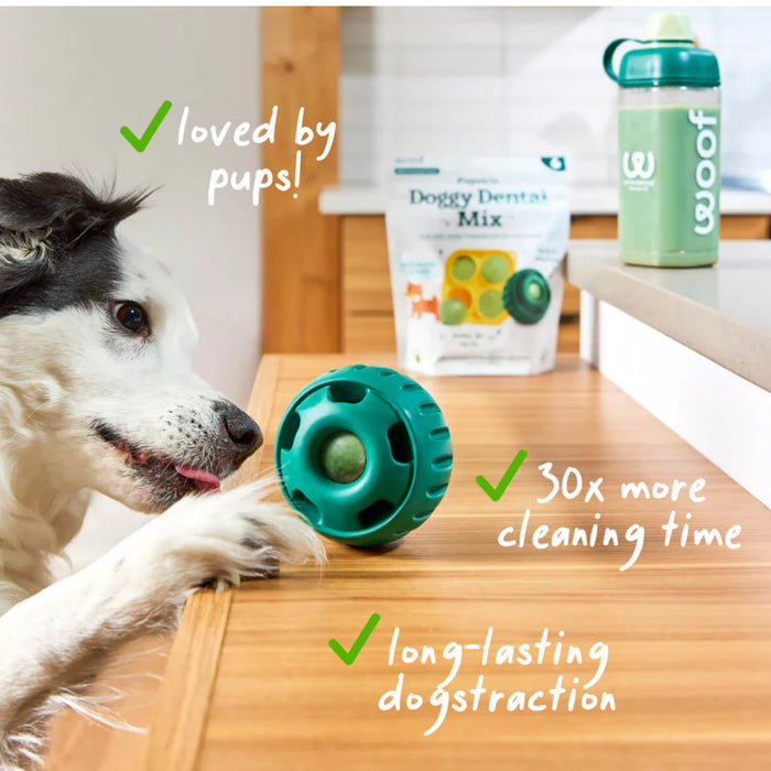 Pupsicle Doggy Dental Mix