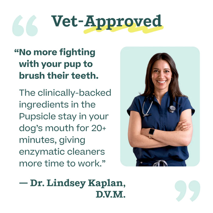 Pupsicle Doggy Dental Mix