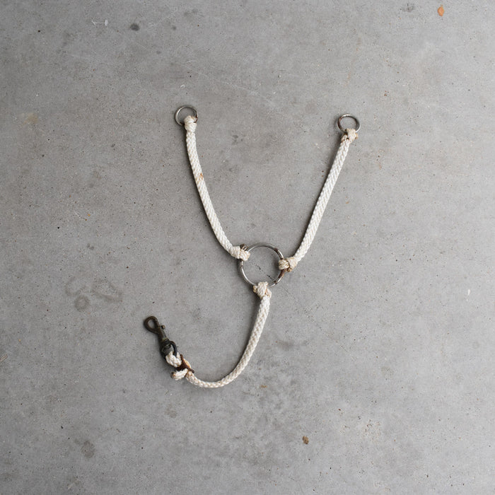 Used Training Fork Sale Barn Teskey's