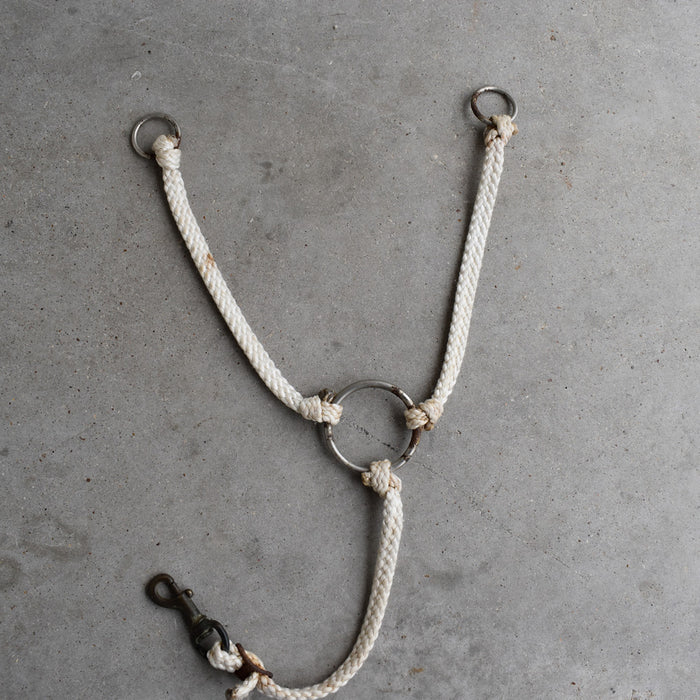 Used Training Fork Sale Barn Teskey's