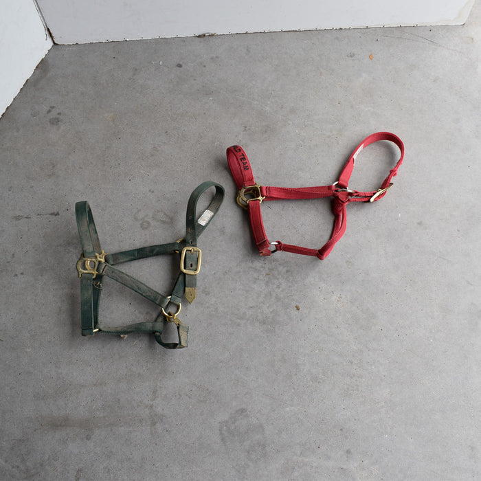 Used Assorted Halters Set Of 2 Sale Barn Mustang