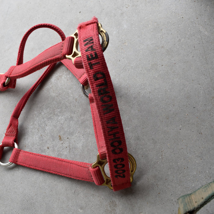 Used Assorted Halters Set Of 2 Sale Barn Mustang