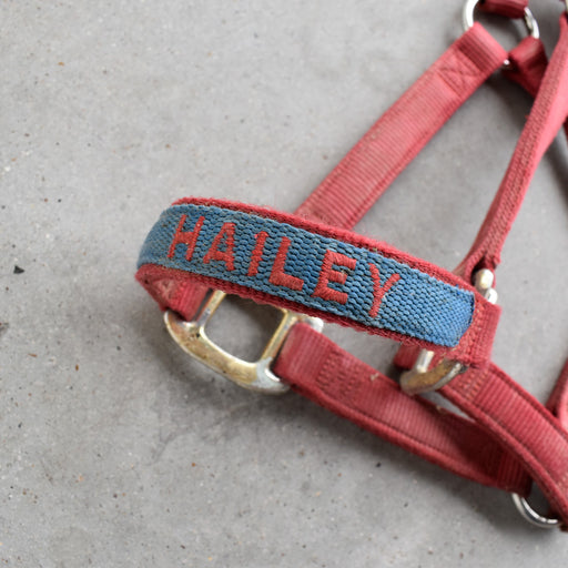 Used Assorted Halters Set Of 2 Sale Barn Weaver Leather