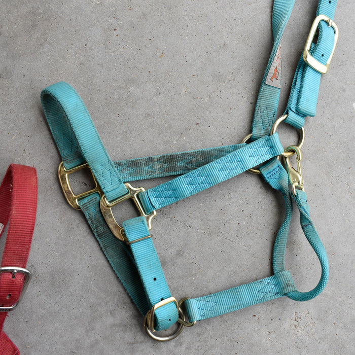 Used Assorted Halters Set Of 2 Sale Barn Weaver Leather