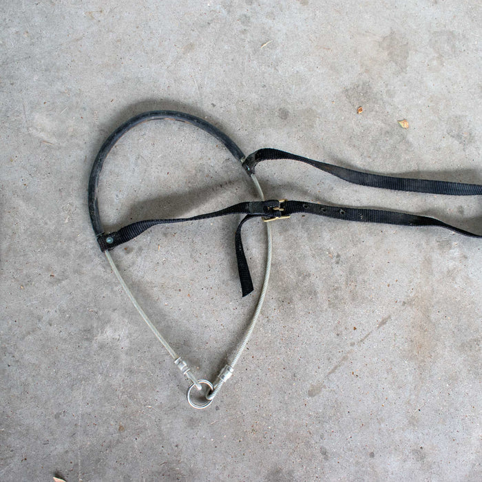 Used Assorted Wire Headsetter And Noseband Sale Barn Misc