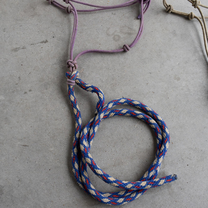 Used Assorted Rope With Halter With Leads Set of 2 Sale Barn Teskey's