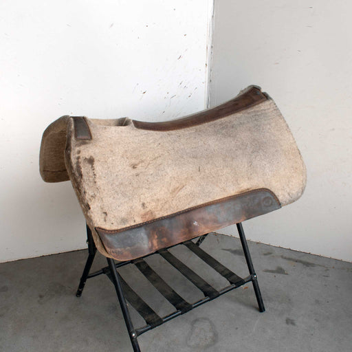 Used 5 Star Brighton Saddlery Saddle Pad Sale Barn 5 Star