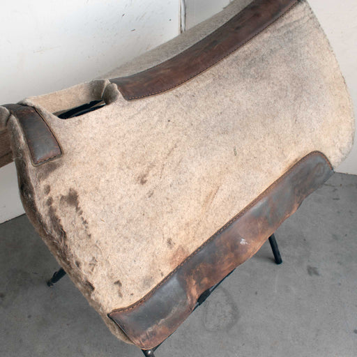 Used 5 Star Brighton Saddlery Saddle Pad Sale Barn 5 Star